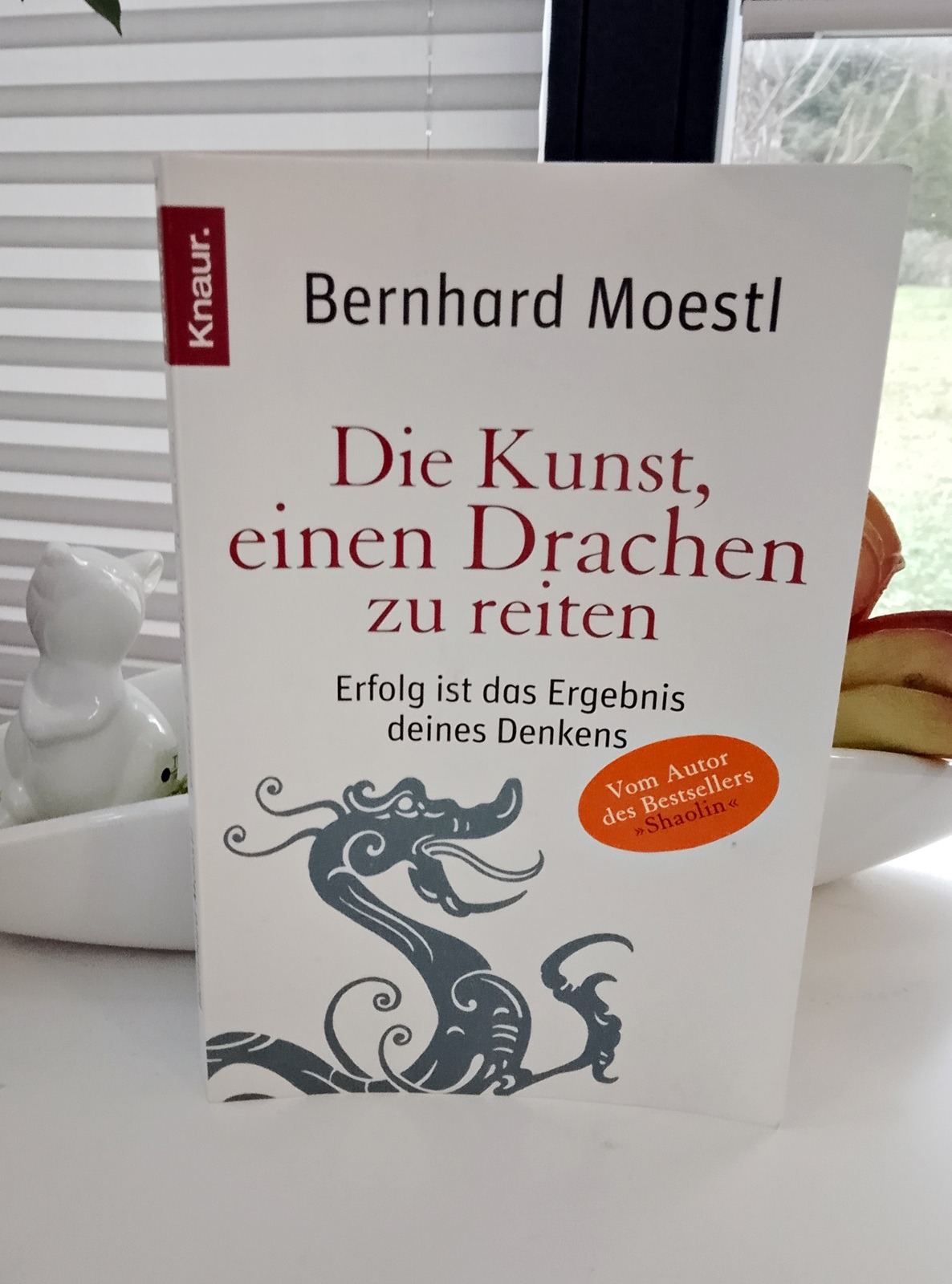 Die Kunst, einen Drachen zu reiten (Buchkritik)