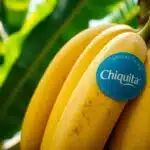 Wem gehört Chiquita?